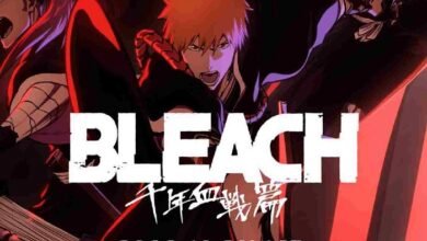 kayoanime bleach