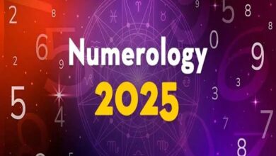 lotology predictions for today