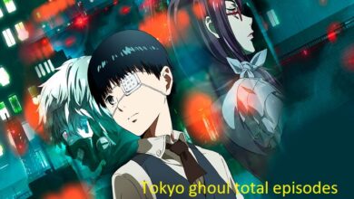 tokyo ghoul total episodes